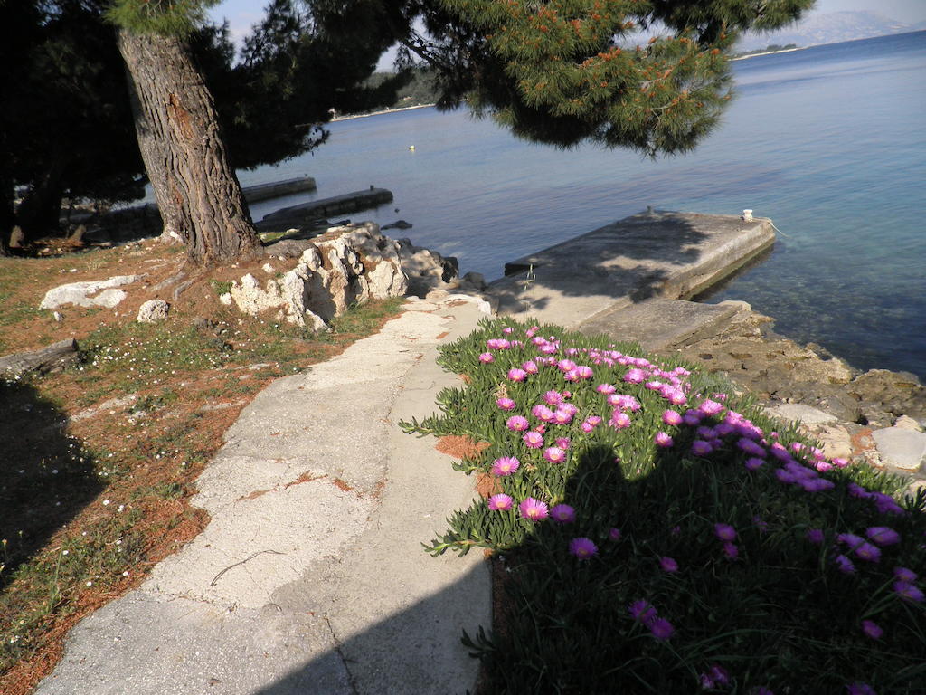 Apartments Holiday Λομπάρδα Δωμάτιο φωτογραφία